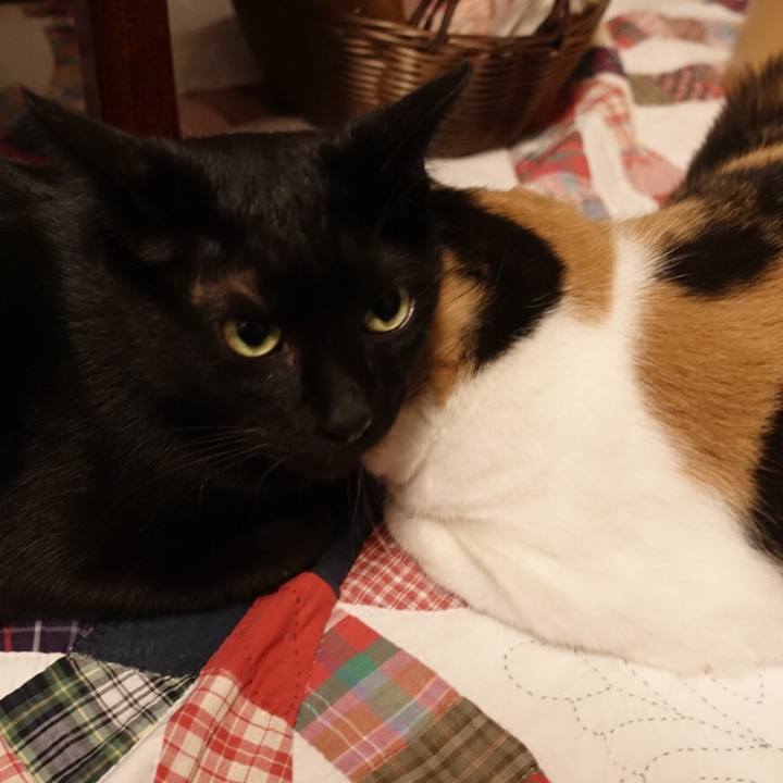 789904c0 f5b4 47ab 855a ac646a4ac5b2 1513082769543