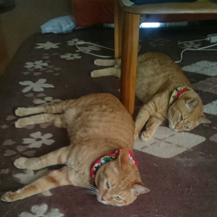 78994456 ed48 4eb1 9df3 76775865f999 1520404708327