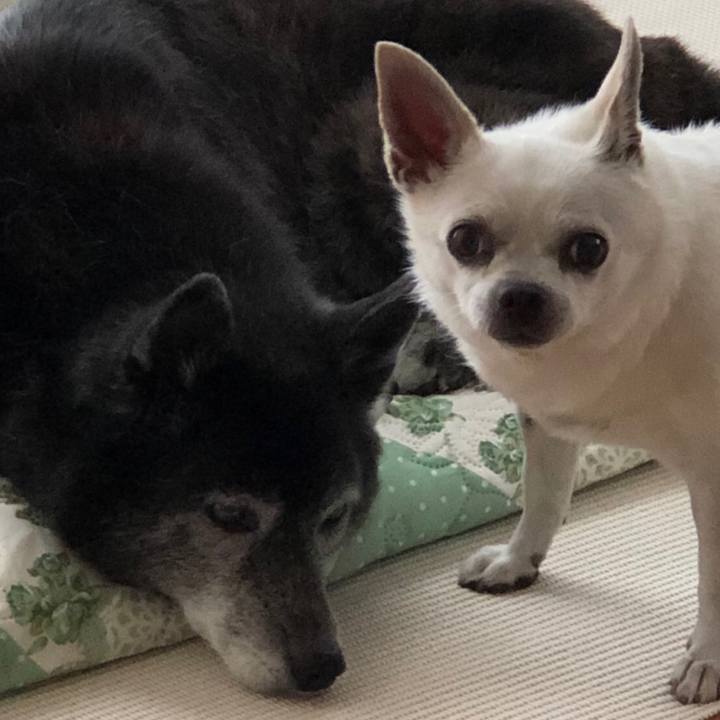 789966a1 7fdf 4da3 8dd2 72cb7bf0e0ce 1663483002052