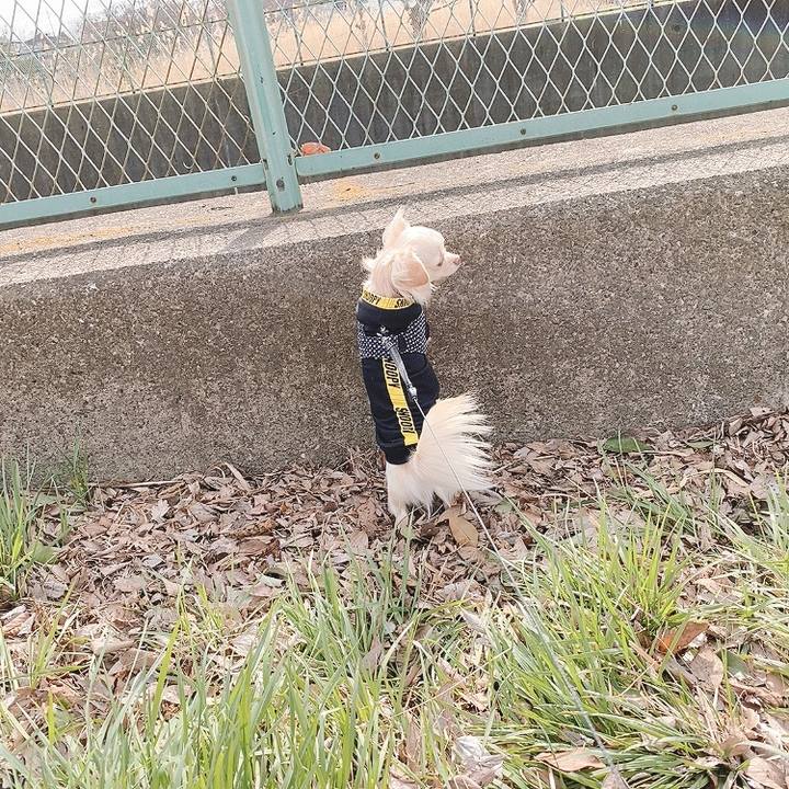 78996e37 cca0 462a b299 f5d14e2bca0b 1614581358397