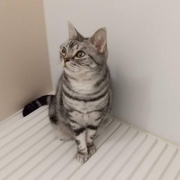 789977a1 f25f 4ac8 8040 0a99aac4ed78 1672050009097