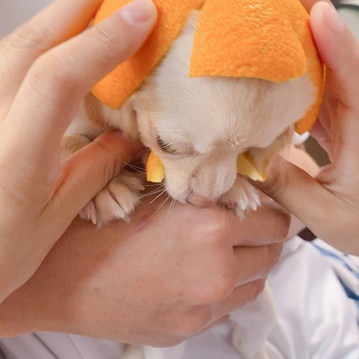 78997e09 015f 477d a300 cc4fe09843ca 1593906602332