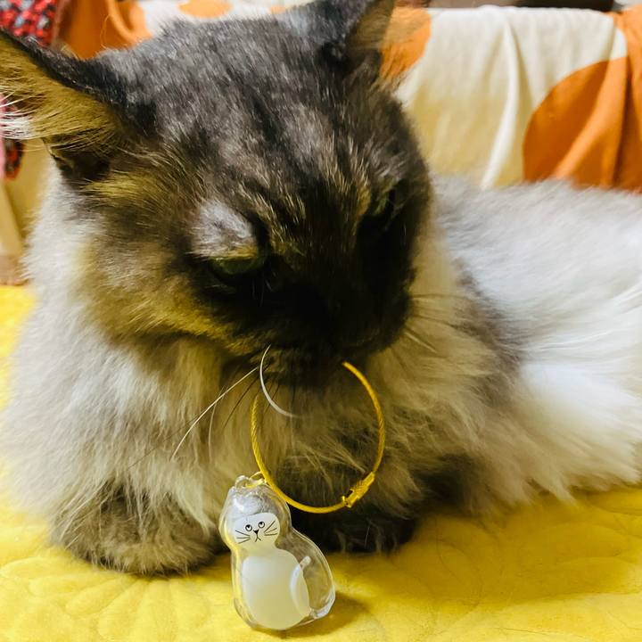 7899e7c0 7ed4 468d 85fe 08f592c85191 1754871335687