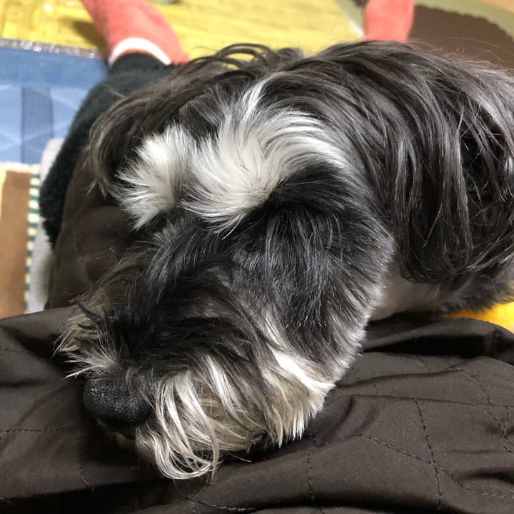 7899ee58 f8ae 424d 9ab0 ac96fabb4117 1704551192579