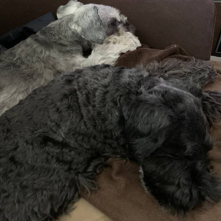 789a4e05 604e 46f4 85be 310f70606516 1619834151051