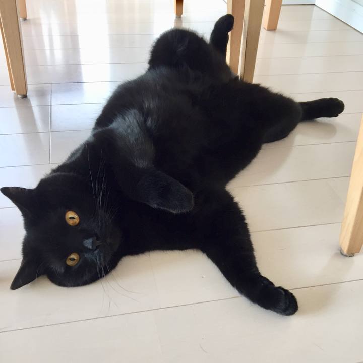 789a7f16 cb6a 4813 96b5 f1e03614633d 1556767320320