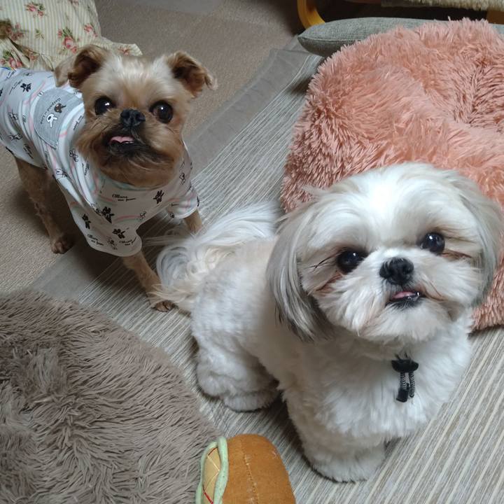 789a91f2 5b1d 45ae aee5 53b1c04a50c8 1620266849512