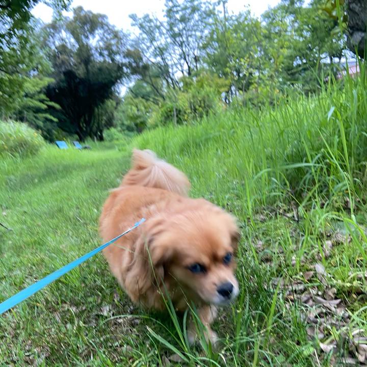 789ab2f7 a21d 4f2a ac3f 6729d8adcd6f 1594934848946