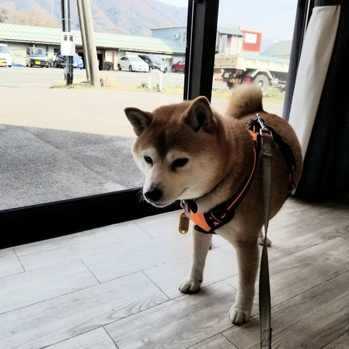 789ac8aa c861 490b a3d1 057feb69fe1f 1617343547570