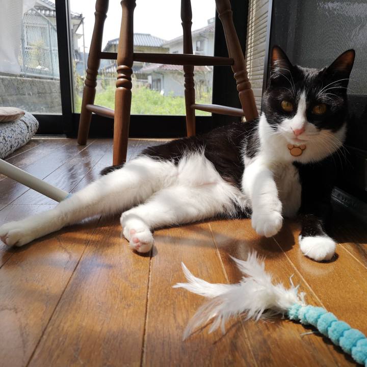 789ae9a5 4e01 444c b14e 7ffa01ea4b33 1556378128116