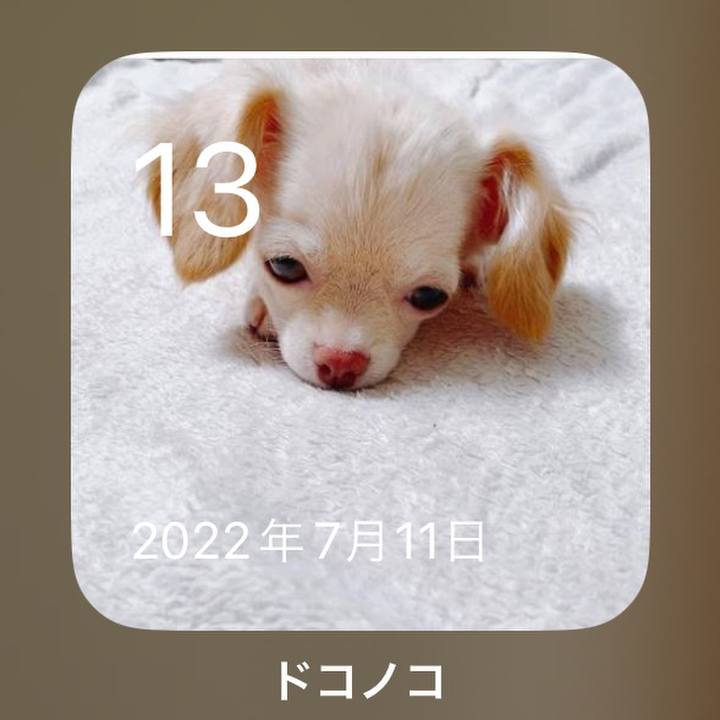 789b2a22 0484 478b a46b d4f2da66126f 1689250454790