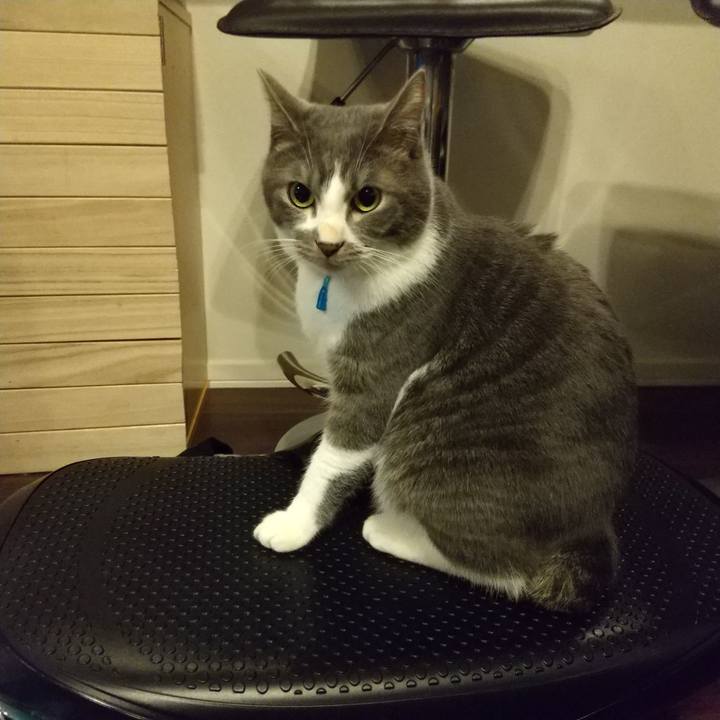 789b4454 c29d 4e21 aea7 54cf94dacf7a 1610449962329