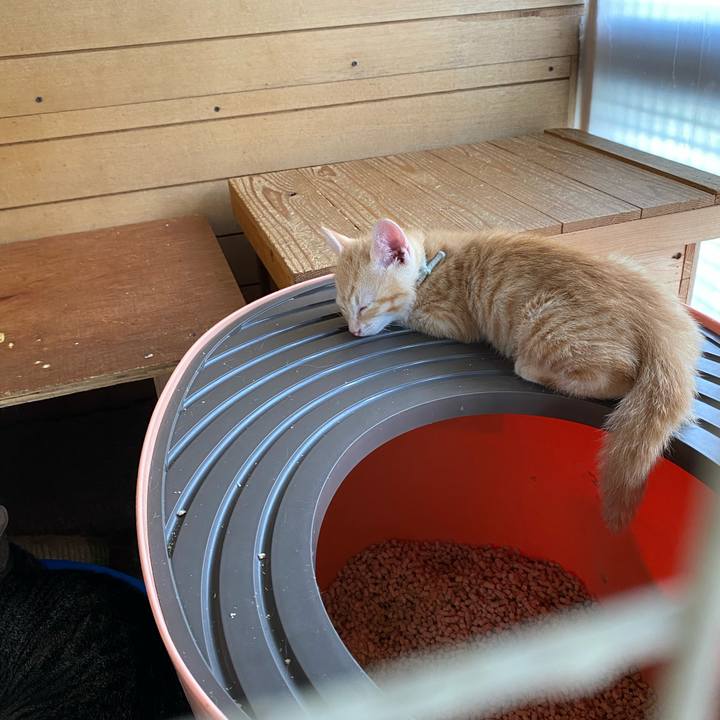 789b674b a52b 4c1d 9b04 cdec8d71c041 1657149707245