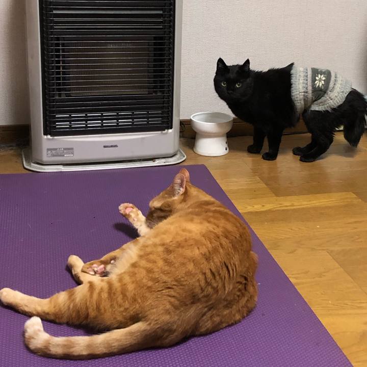 789b9c80 c265 415f b2ec 22538679ea2f 1605349179245