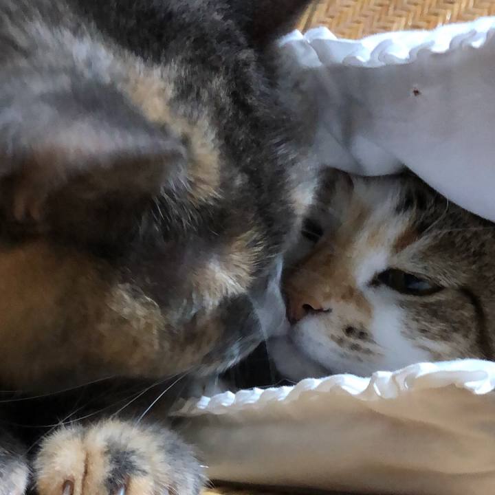 789bc604 160f 4f52 b9fa 3a5f1de528d8 1607737797519