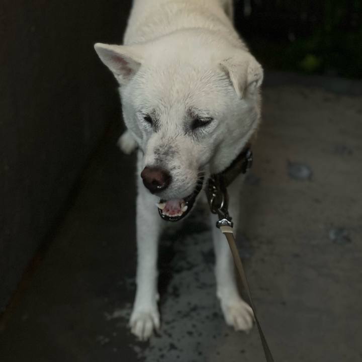 789bdb74 4df8 4473 b24a d6a6ec65b030 1726968404451