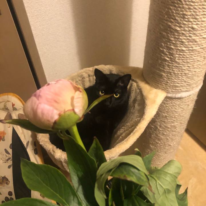 789bded4 534f 4aa4 ab24 1862eef3b1d4 1621472293682