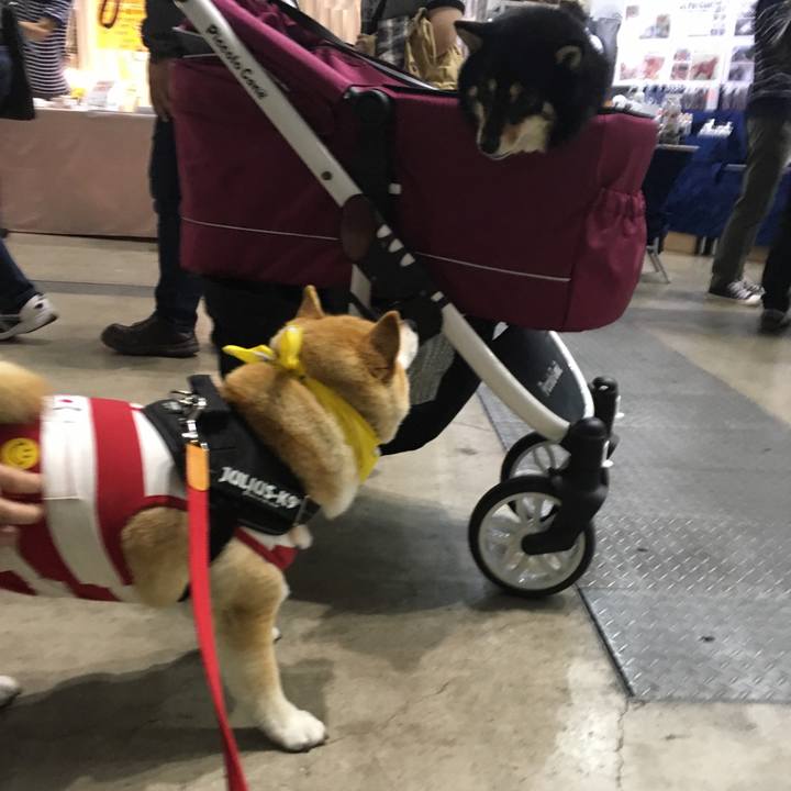 789c0934 c616 435e ad7c 002a110bf8d1 1556870039033