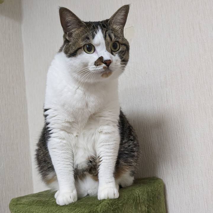 789c5708 cec6 47c1 98db 60e52b799aaf 1691883180363