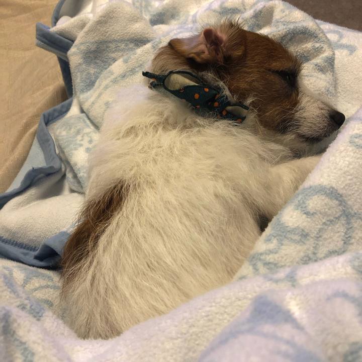 789c9af3 256b 499b 9c5f f4af34732962 1577782434371