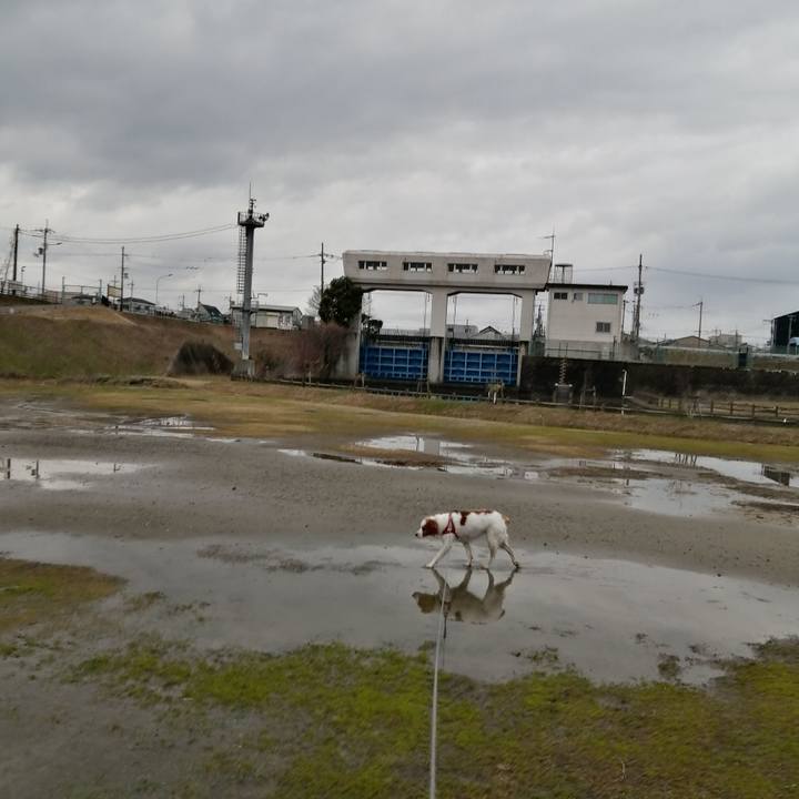 789cae4d e453 4d00 a223 b4a468760e74 1577707278487