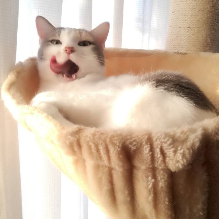 789d3fa4 9037 429b b90a d4f85c052b15 1548406953152