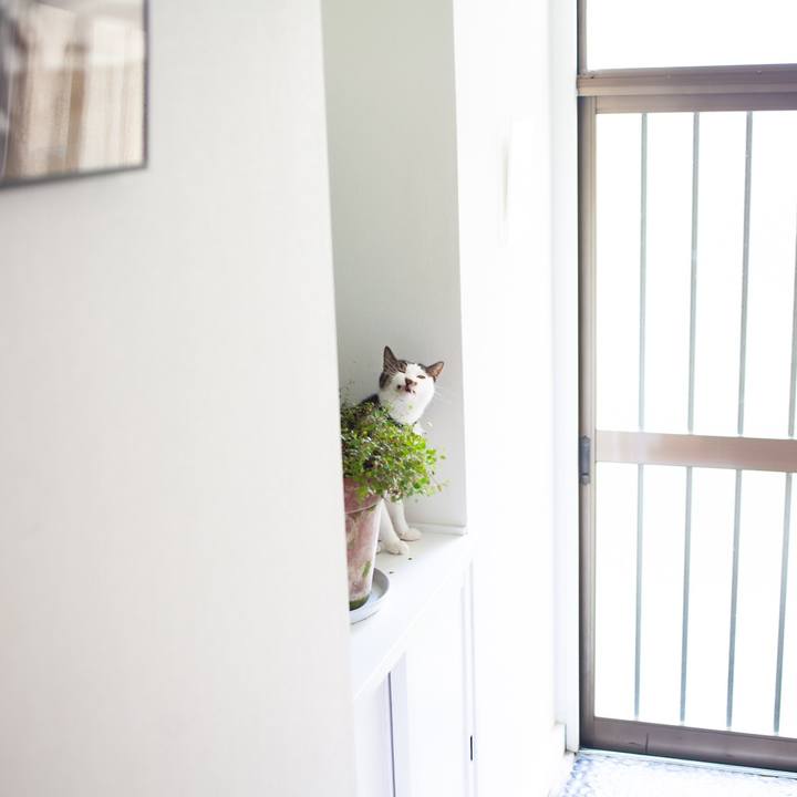 789d435f 2341 4d4f 95c8 b2af11eecb83 1600167421370