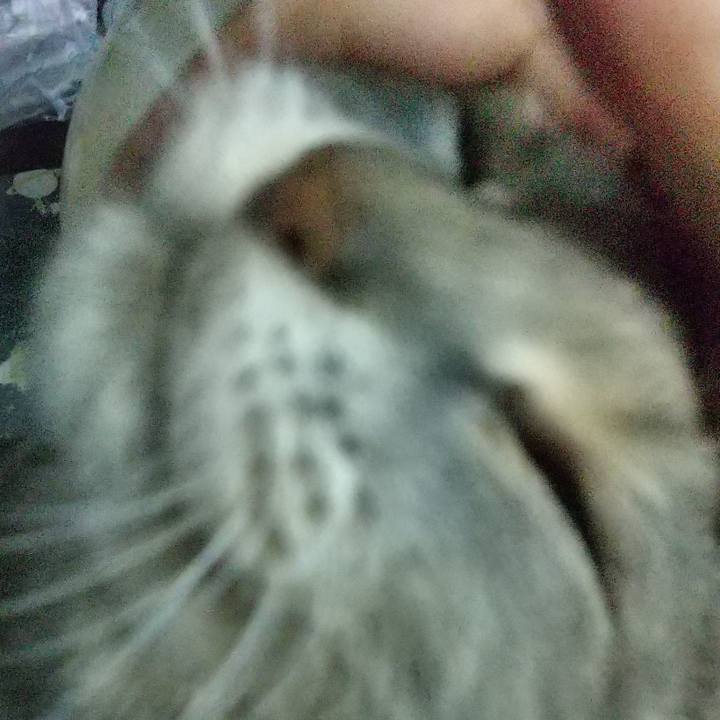 789d4c55 52c4 4053 8030 f1879ea98370 1653433436966