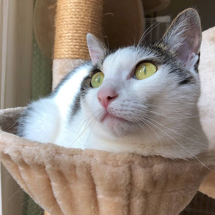 789d5889 41a2 49a8 8583 28ed23e50419 1654491876186