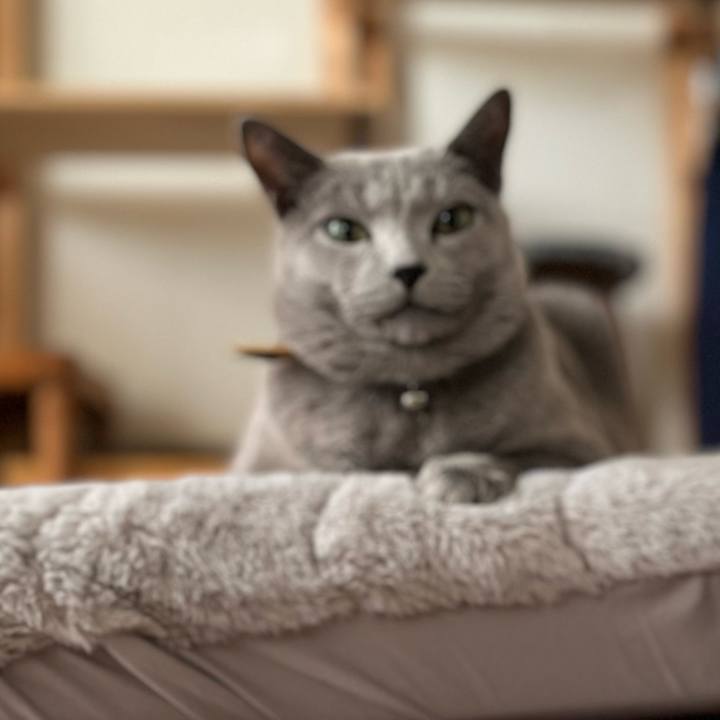 789d5be9 3d79 4011 8039 451cacf438e4 1733745599606