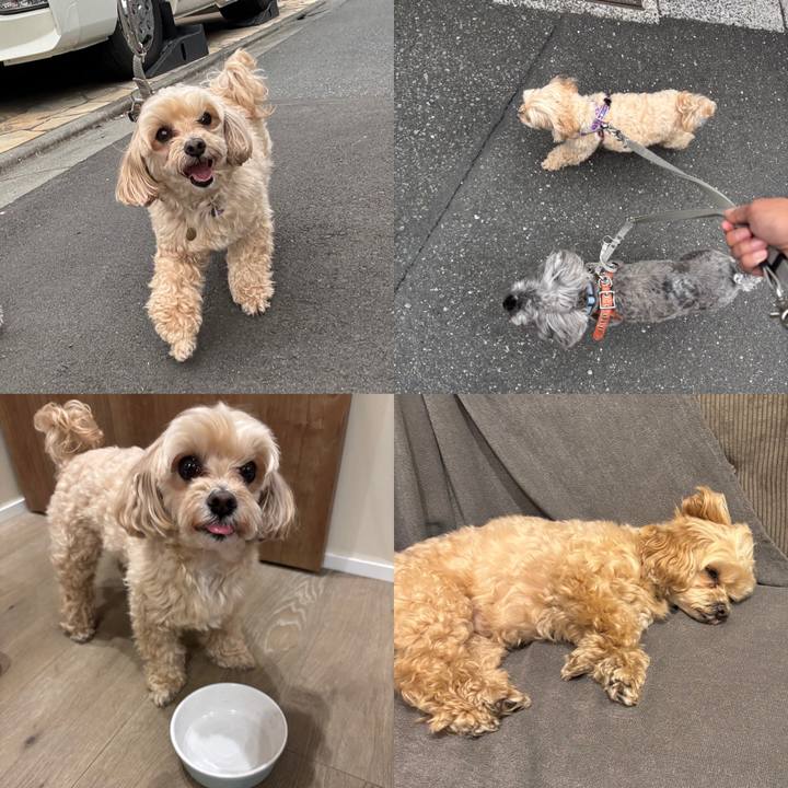 789d6749 a806 4135 88be 9c7cf77e5ffa 1747411755223