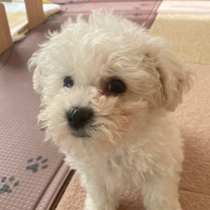 789d8523 1ca5 4a21 bc9e d184a5ad6303 1740387178818