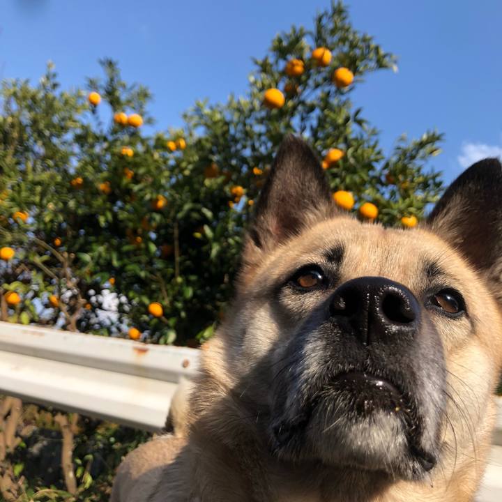 789d910e f66f 4970 a7f5 394d97db6ce7 1582358191617