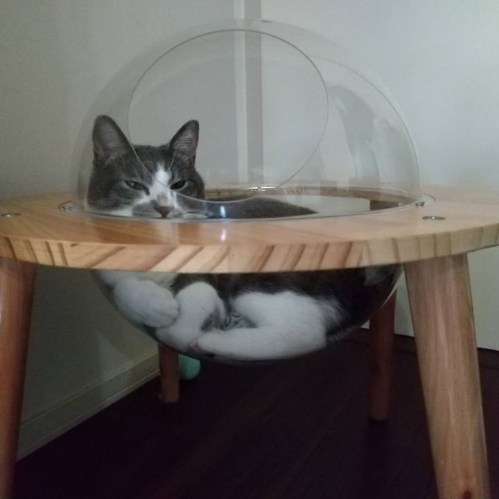 789db08c 5543 4999 9bb0 88fe2d403570 1632618066065