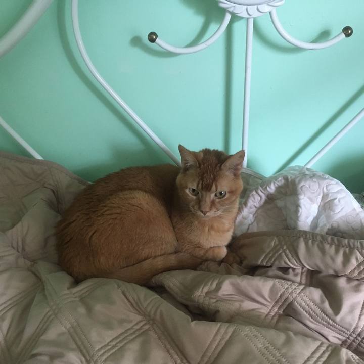 789db25d 0871 468e b009 c4d9ebb08bae 1618021020830