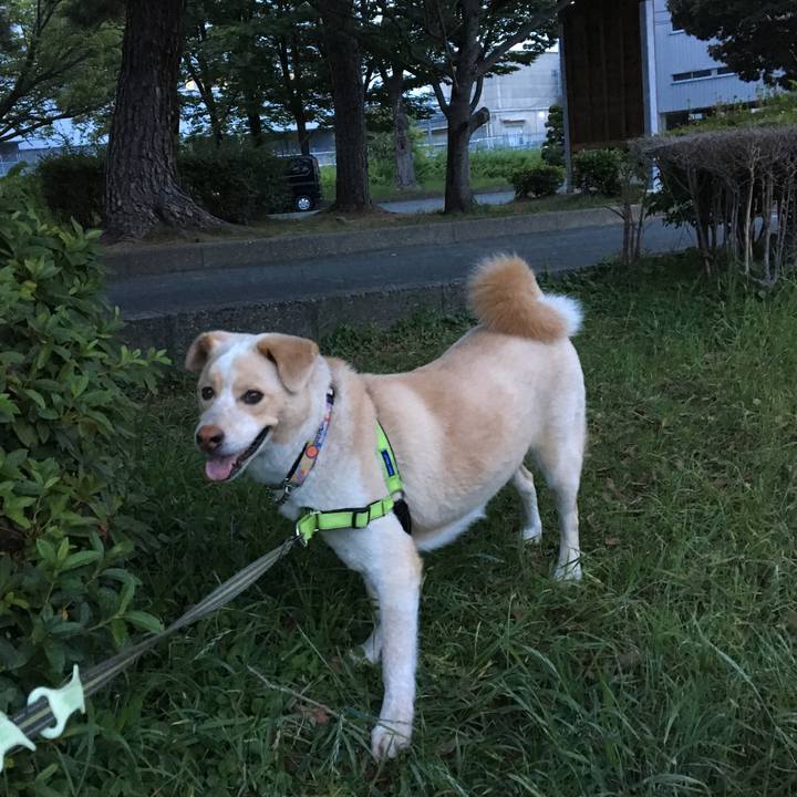 789dd071 69b4 4e5e 944b 213d9f852edd 1527591295875