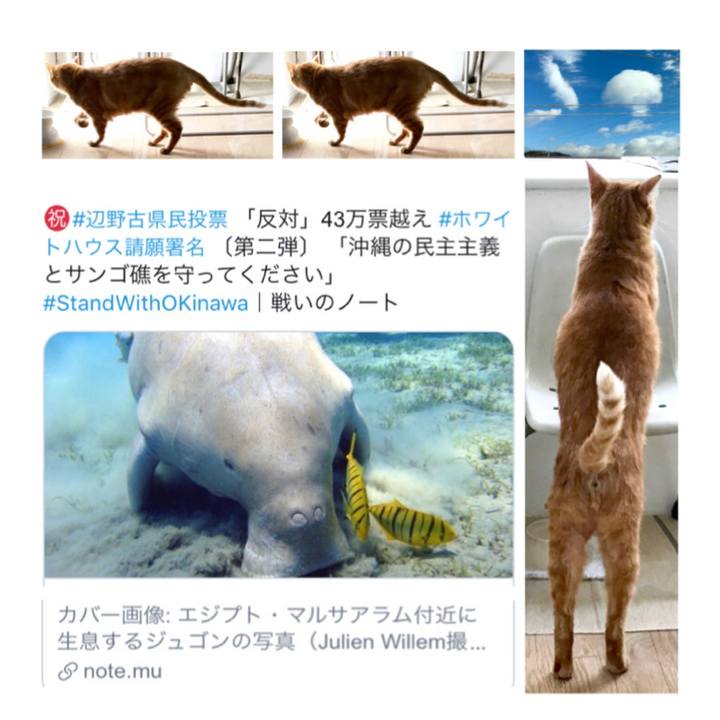 789e0884 c418 42e0 b71e 3b2777276aef 1551414032519