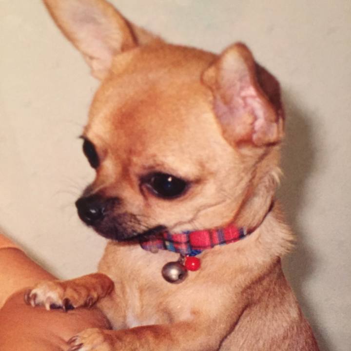 789e3a85 887b 432b b5af 7850dbfc7da3 1628856204414