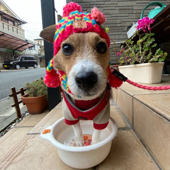 789e4b52 e47c 4451 adee 67f6aea41609 1609981957963