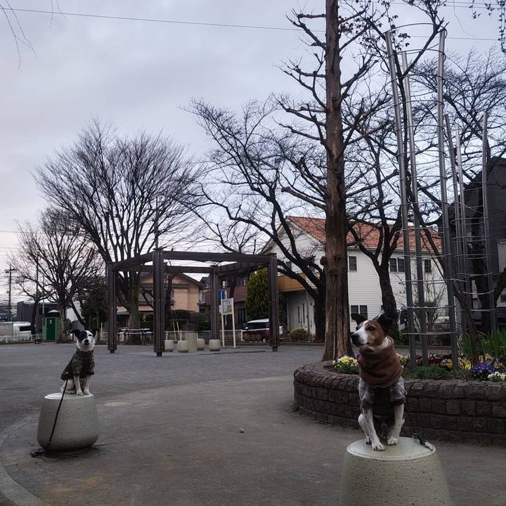 789e5952 39f4 4482 bf34 1133573aeba1 1773787025157