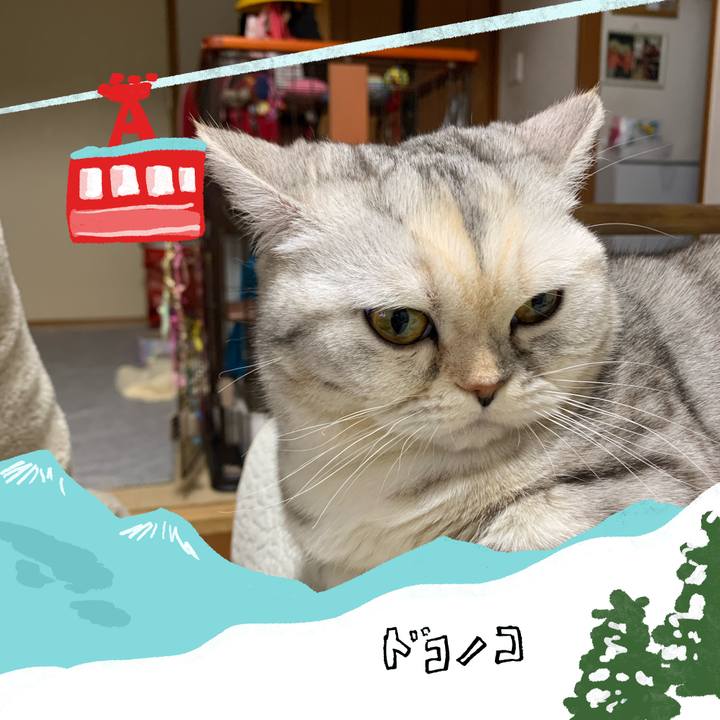 789e5b65 4fde 424a b135 9f10b2f69706 1706883815956