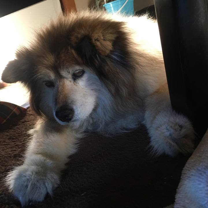 789e8bc5 fe5d 43e9 8502 c1bfe7bbb75a 1584493068346