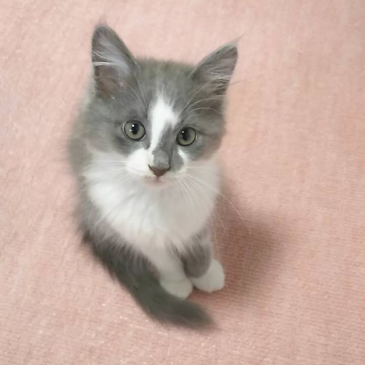 789e8c0f 66a2 48f1 9295 1a96f5d8d014 1562211046610