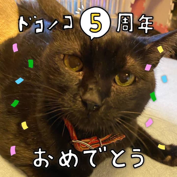 789e8f00 72a2 4b51 a277 cc55b20a3de1 1622871978509