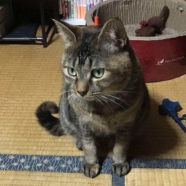 789ea42d 6c7b 4be0 870f 225f5aefac4c 1645181056533