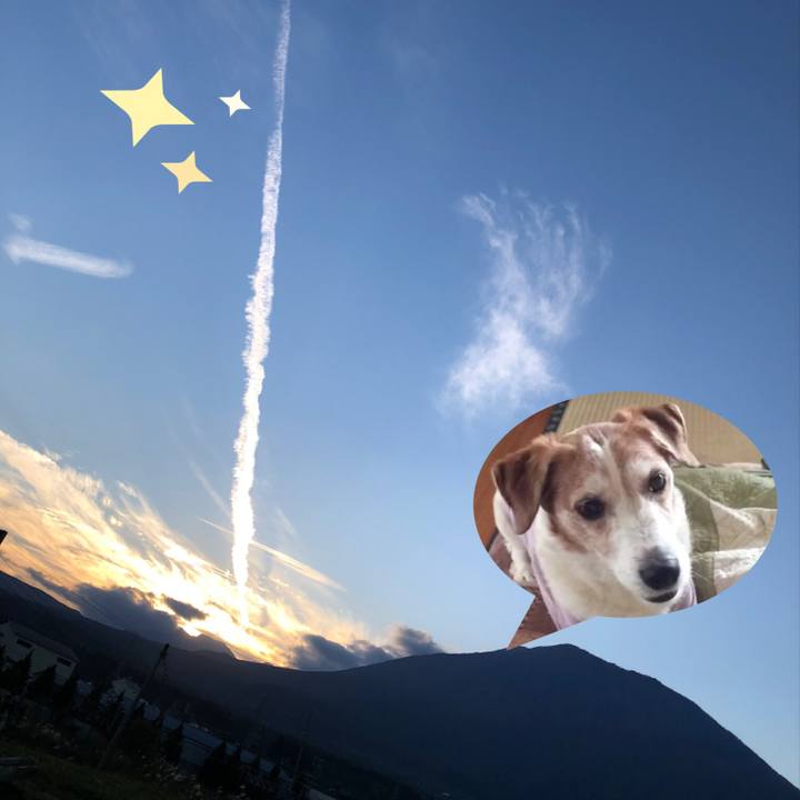 789f18fb 814f 4377 8851 102a499d3ce3 1603273143033