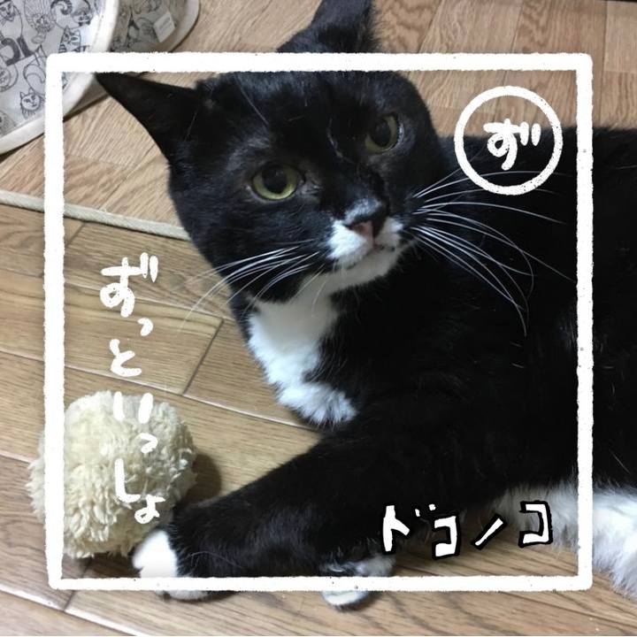 789f4716 6173 48d3 adbc e224c665c0ad 1685970246669