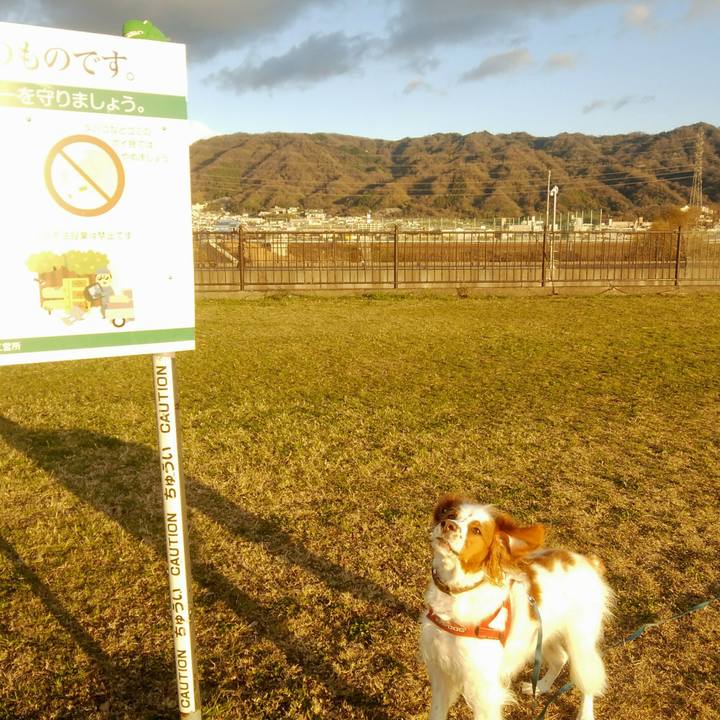 789f4781 308d 4d37 9953 70b729f7579b 1545996196484