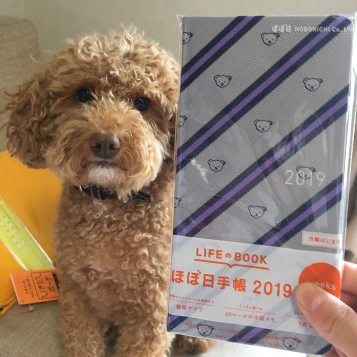 789f6a02 a0b5 4fce 9ba4 a1c98ed2237c 1536383156189