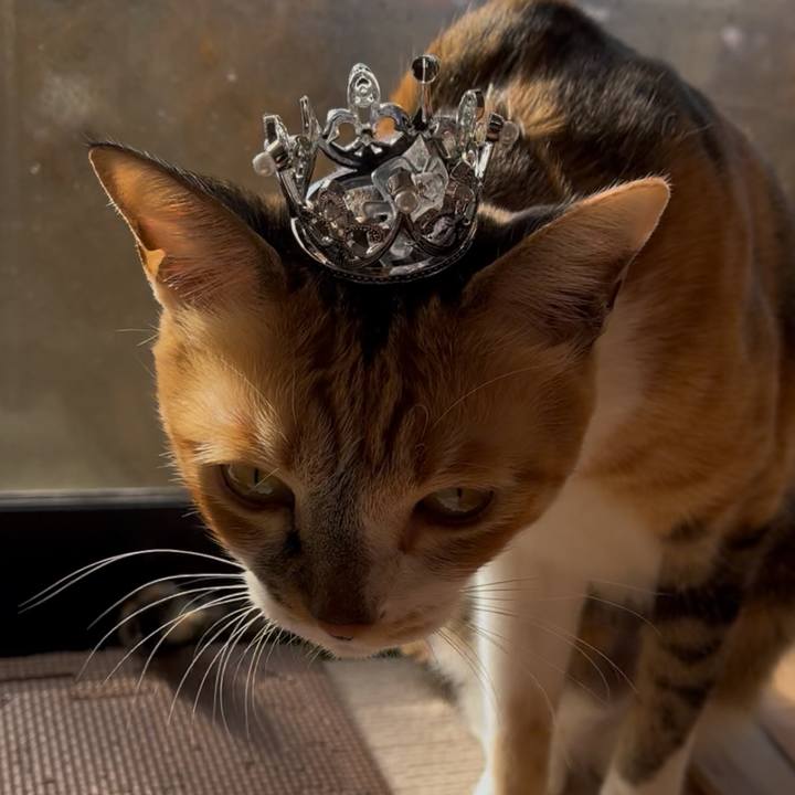 789fa914 99a4 4de5 b714 f4cdfb70ea7e 1773101459421